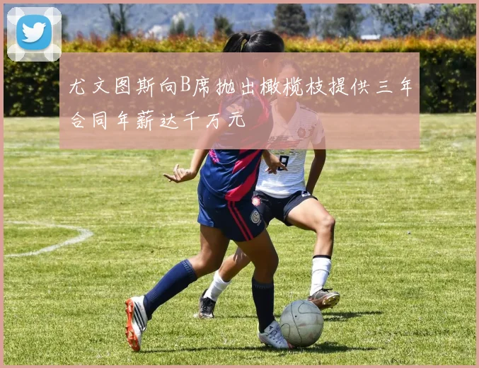 尤文图斯向B席抛出橄榄枝提供三年合同年薪达千万元