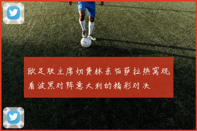 欧足联主席切费林亲临萨拉热窝观看波黑对阵意大利的精彩对决