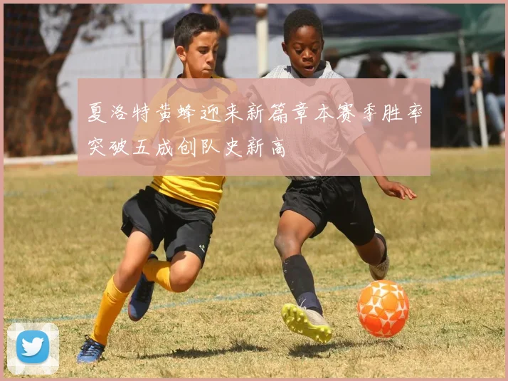 夏洛特黄蜂迎来新篇章本赛季胜率突破五成创队史新高
